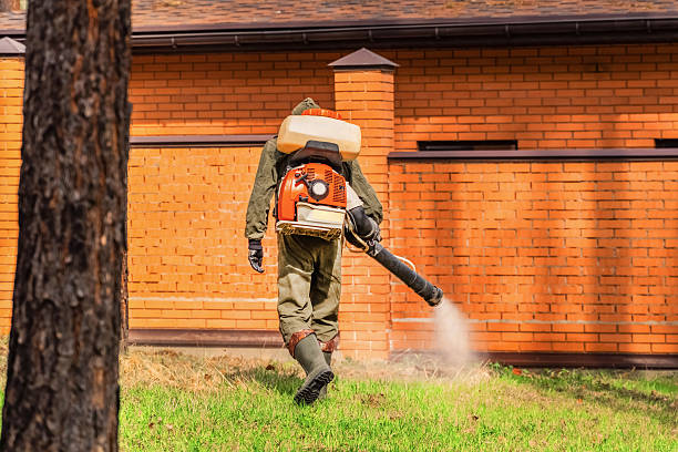 Bed Bug Clearance Verification and Documentation in Anthony